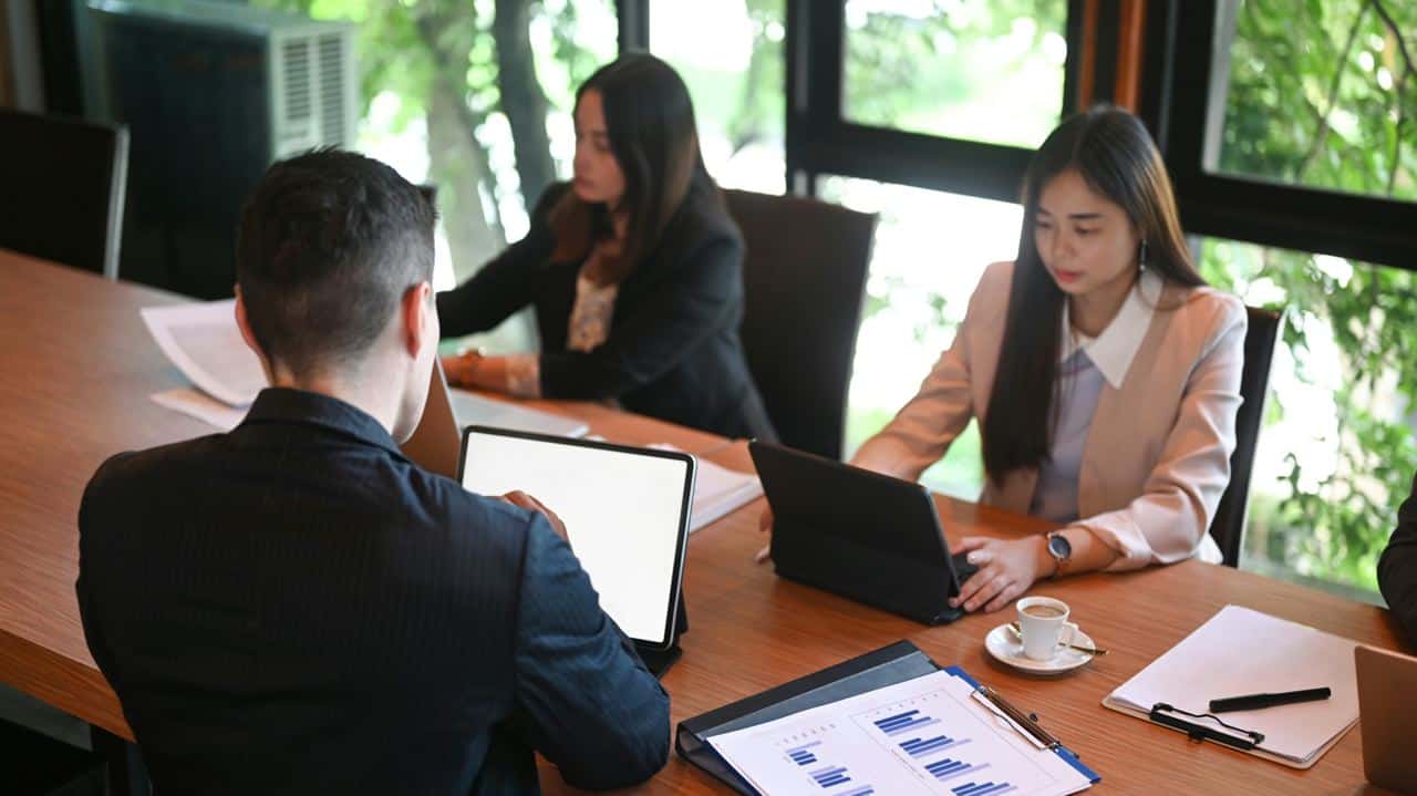 bachelor in international business