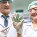 Master in Legal Cannabis Tourism Management
