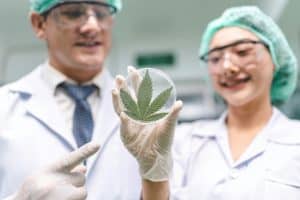 Master in Legal Cannabis Tourism Management