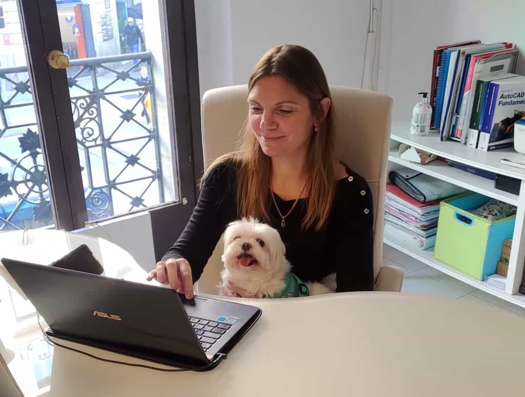 Benefits of Animals at work