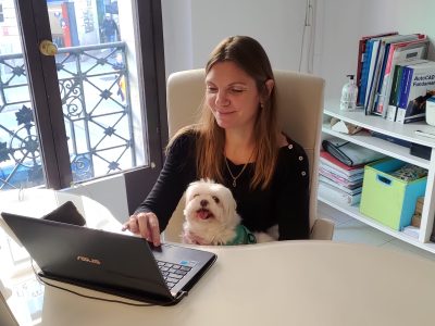 Benefits of Animals at work